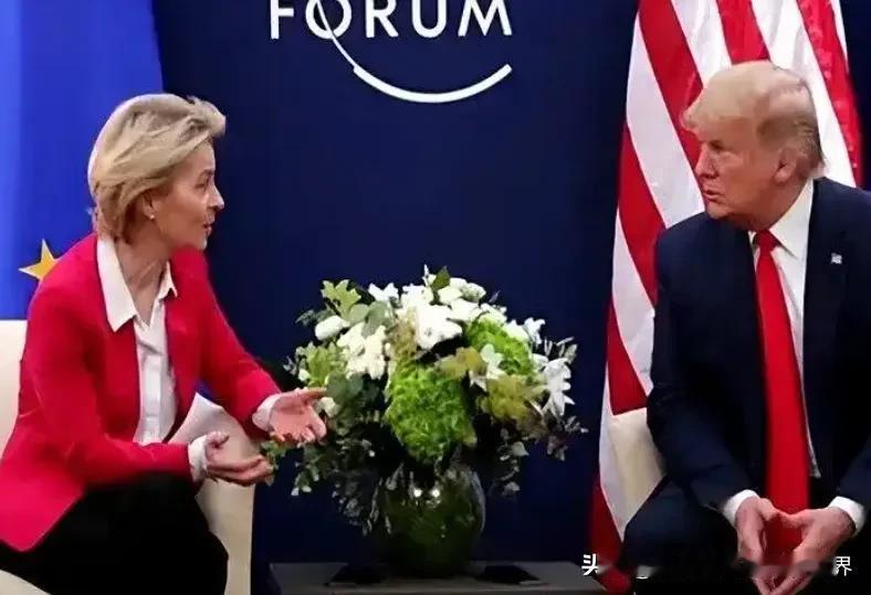 冯德莱恩不愧是欧洲铁娘子，离开中国后当即就跟美国签订了15%的关税协议，承诺对美