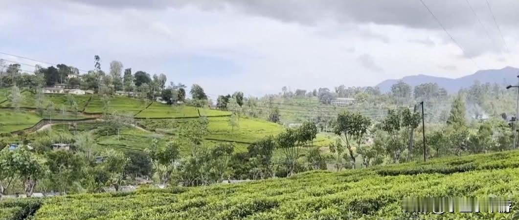 气候变化日益加剧，全球粮食需求却在不断增加，农业已进入科学革新的时代。研究人员通