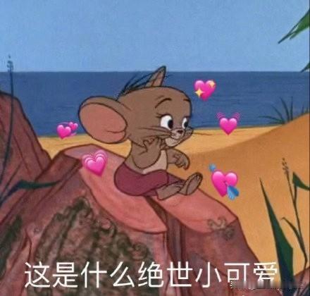 十二星座值得“被爱”理由：

爱白羊，因为他的真诚从不掺假
爱金牛，因为他的踏实