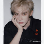 王安宇90s成像王安宇金发卷毛撕拉片 王安宇新写真采用90s成像技术，金发卷毛造