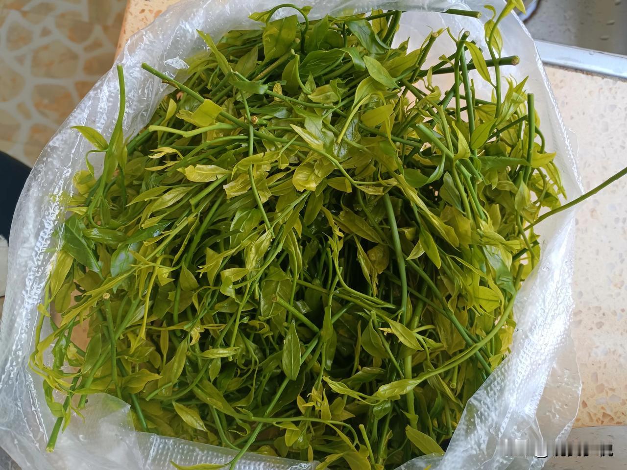 今天去买了一斤野菜，160一斤，才称了一点就100元了，而我的手机里才有60元钱