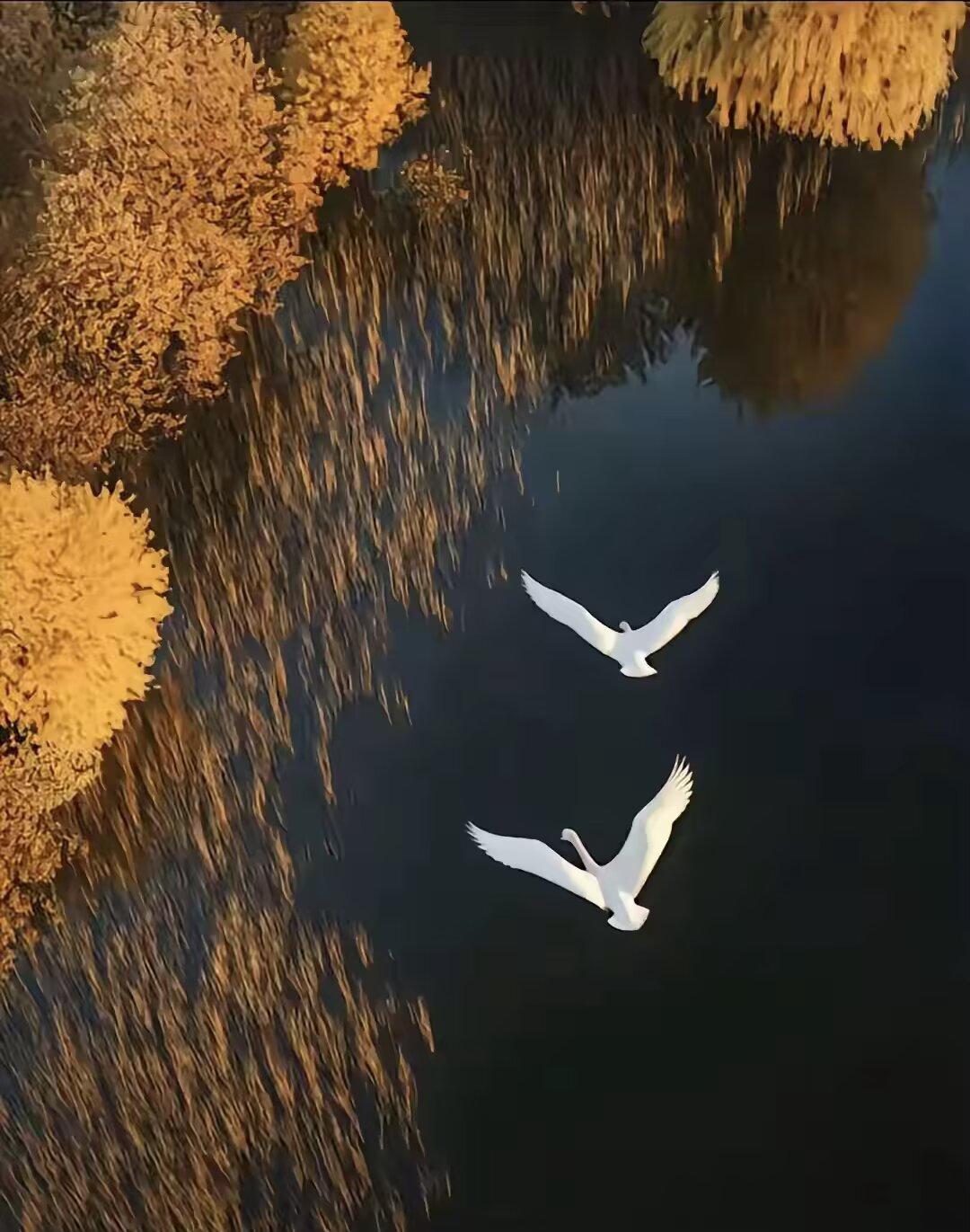 跟自己无关的事，别随便干涉； 不了解的事情，别随意指责……