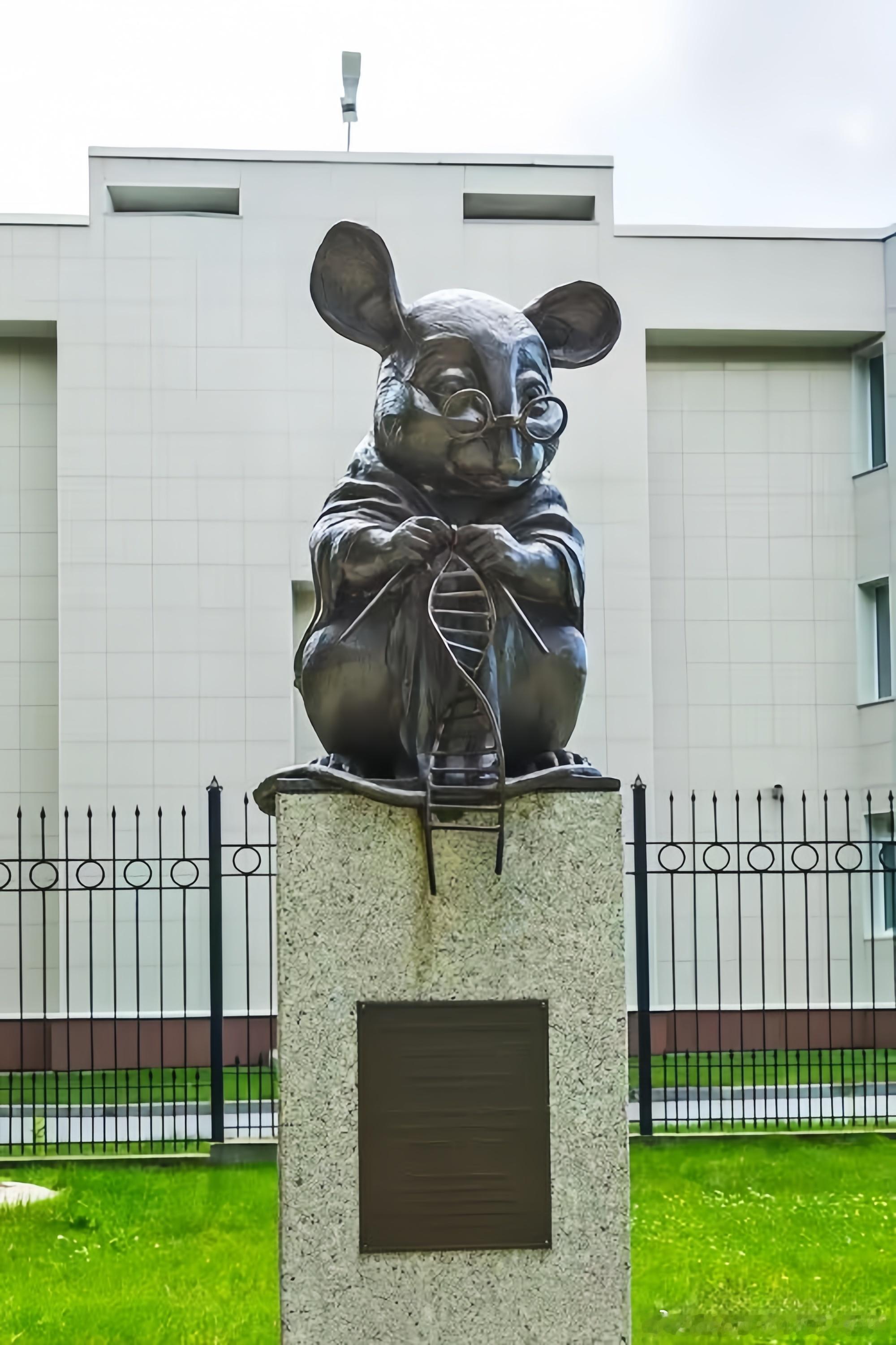 俄罗斯 感谢鼠类对人类遗传学研究的贡献 ​​​