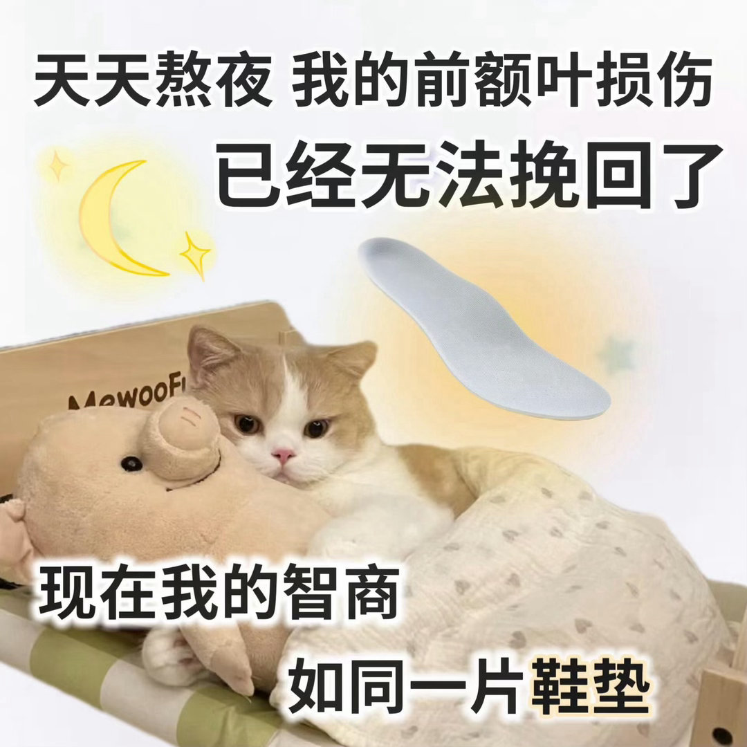 晚安💤 