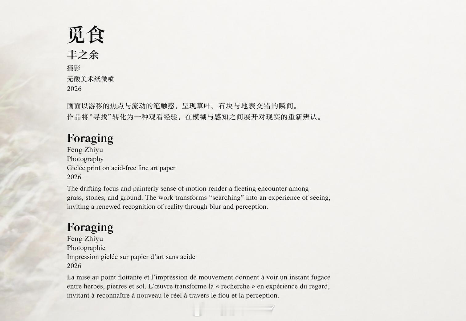 很多朋友不太了解，其实我是一位📷后现代摄影师，今天在公园里看见一只鸟，我掏出相