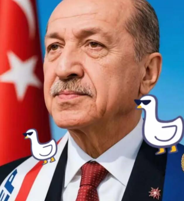 这次土耳其算是彻底打错了算盘！以为还能像当年卡我们要道那样，逼着中国企业低头。结