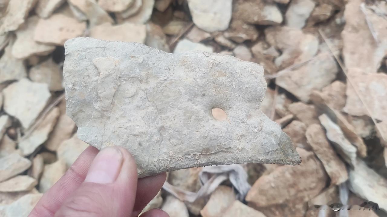 石中藏古韵，岁月留痕深。山村里的小石杂窝，小小薄片一大堆，奇形怪状啥都有，不大不