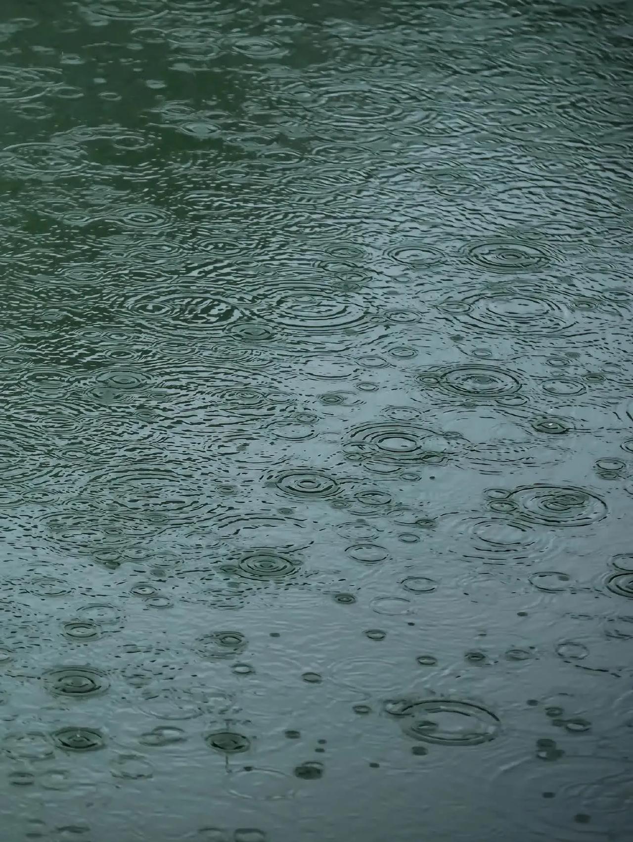 夜半春雨敲窗棂
文/冰笑
春龙节到地温升，
夜半春雨敲窗棂。
洒洒雨丝变雪飘，