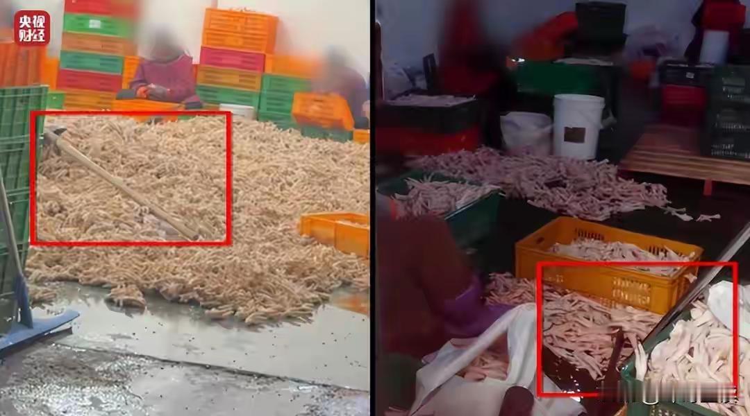 完整榜单
漂白鸡爪厂区标语写着“质量决定生存”

听到“漂白鸡爪”，你脑海里是不