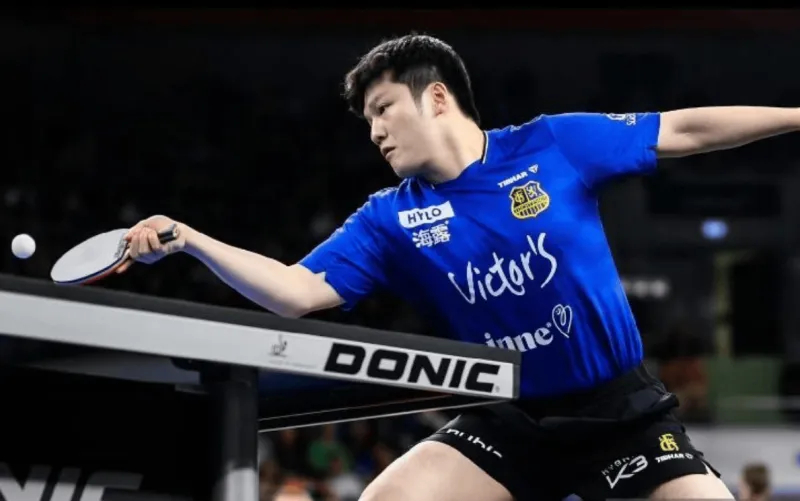 至尊马蒂导演提及樊振东  樊振东真正的中国巨星！樊振东被好莱坞导演乔什・萨弗迪在