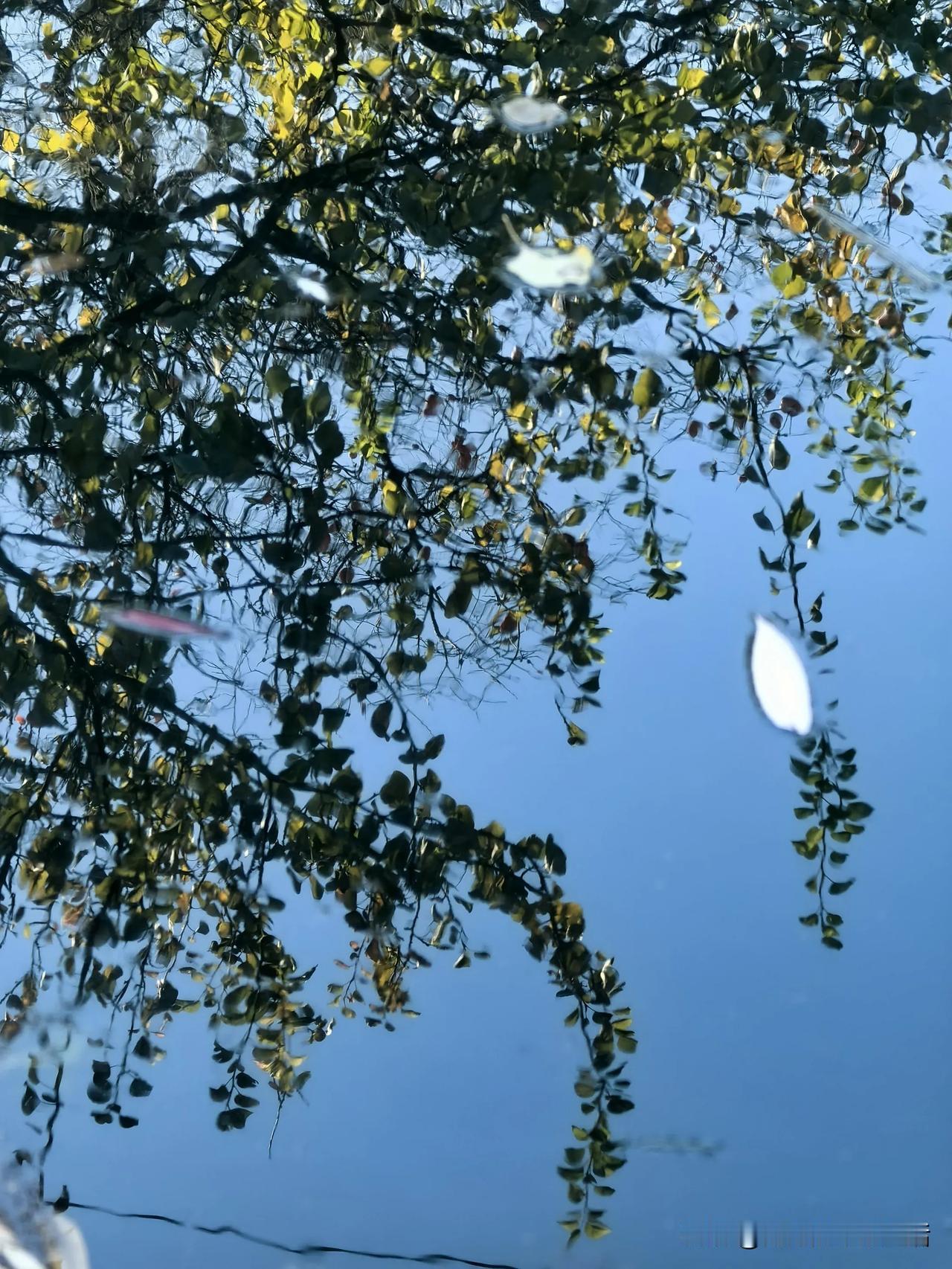 要怎么珍惜当下的一切
日落，漫山的秋，水中的秋
弯月如眉，模样或不一样的清淡
眼