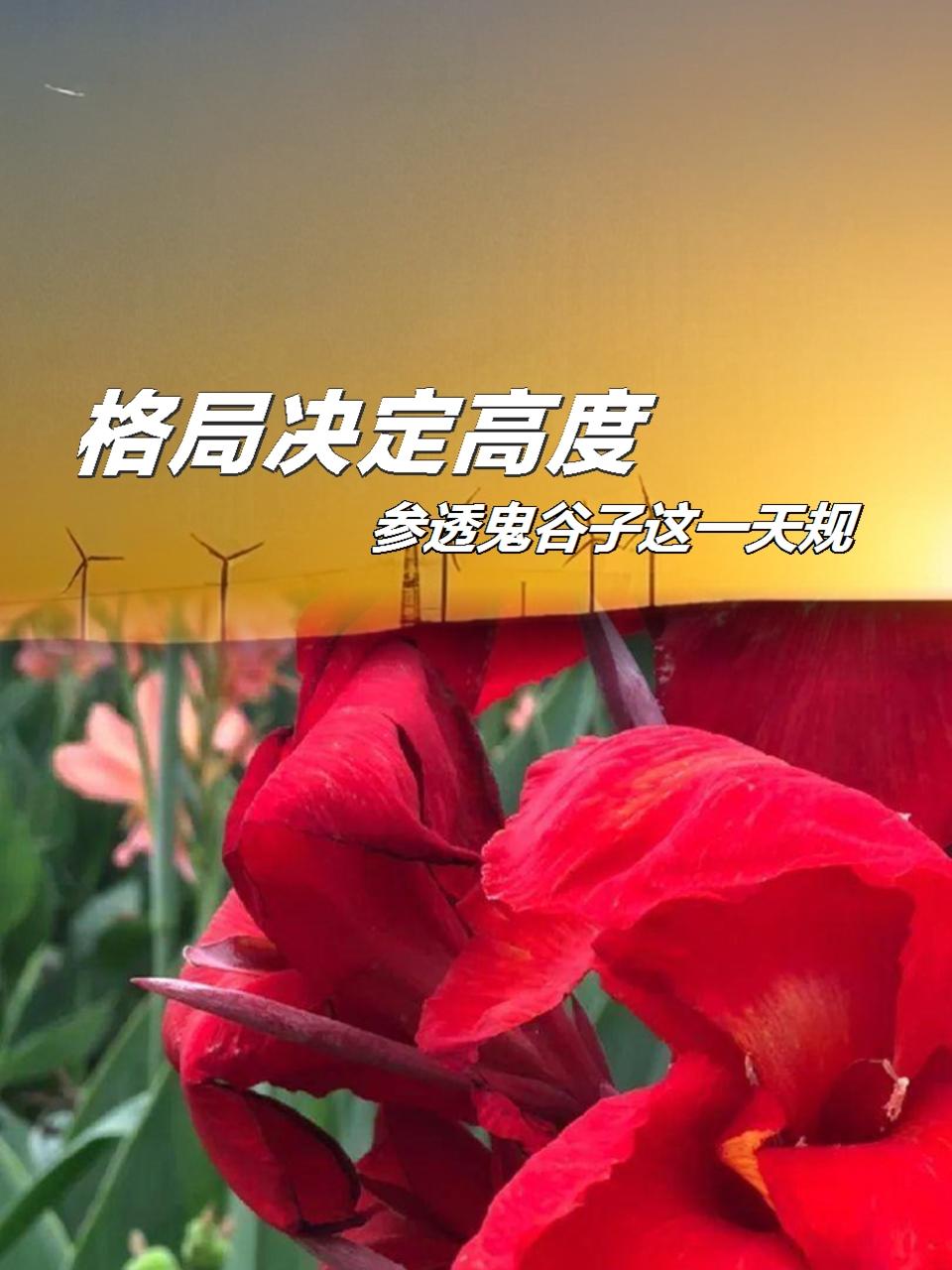 你的支持就是我前进的动力//@小太阳双向奔赴:[比心][比心][比心]