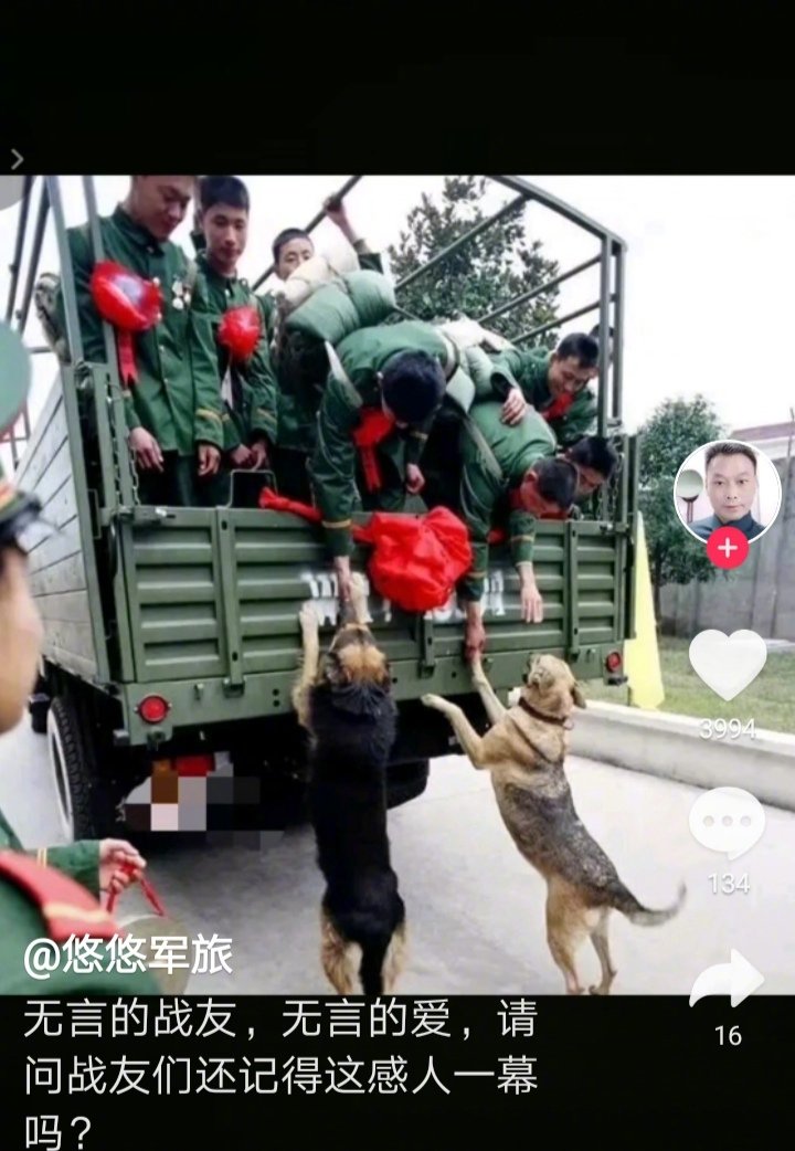 重情重义，无言的战士送别战友！