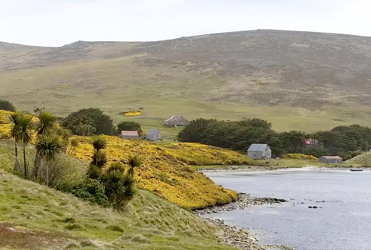 193年了还没谈拢？阿根廷发了个重要声明，希望和英国重新坐下来谈，解决马尔维纳斯