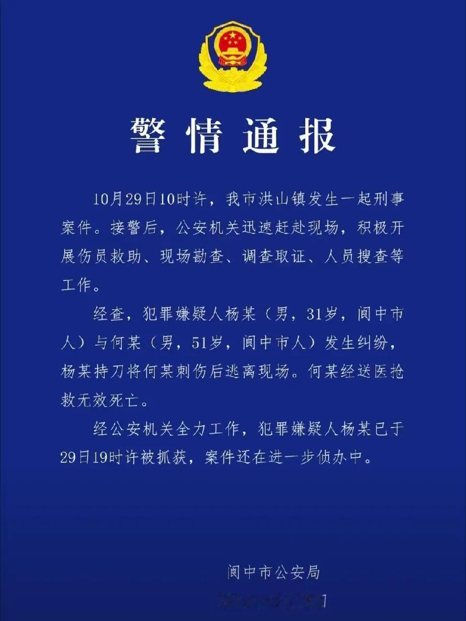 阆中持刀行凶事件：悲剧背后的深思

近日，四川阆中的一起持刀行凶案令人痛心疾首。
