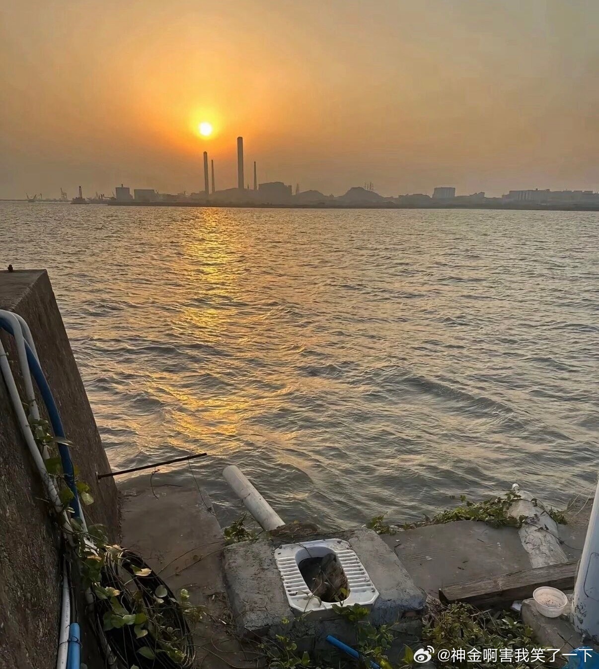 6245海枯屎烂… 