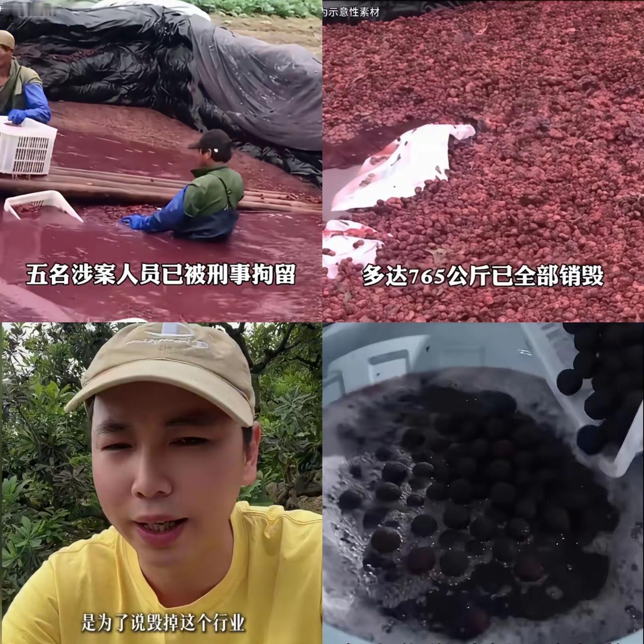 太能理解漳州杨梅返乡创业小哥的气愤，但真的不能把锅甩给媒体！小哥直言漳州杨梅彻底