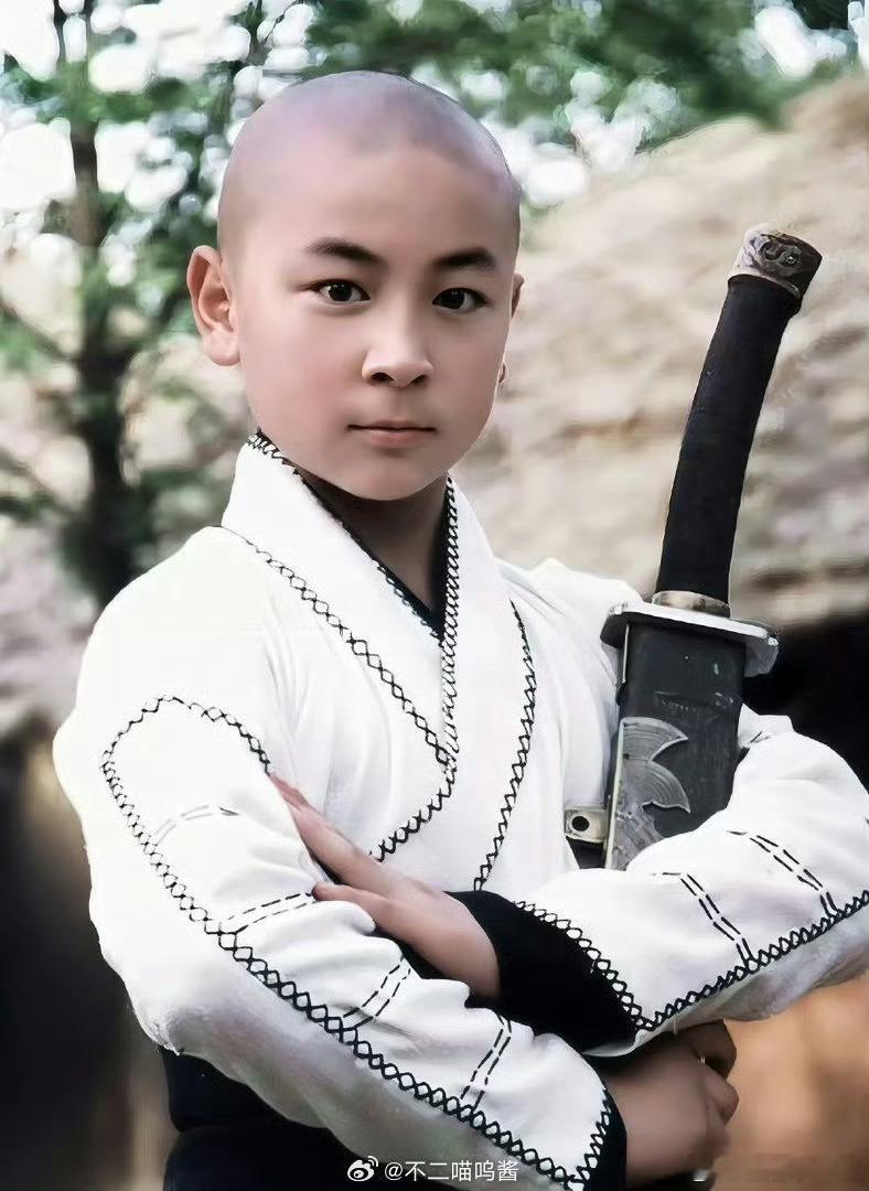 杨洋释小龙展昭vs展昭 释小龙版展昭是童年白月光，少年灵动侠气满格；杨洋版展昭成