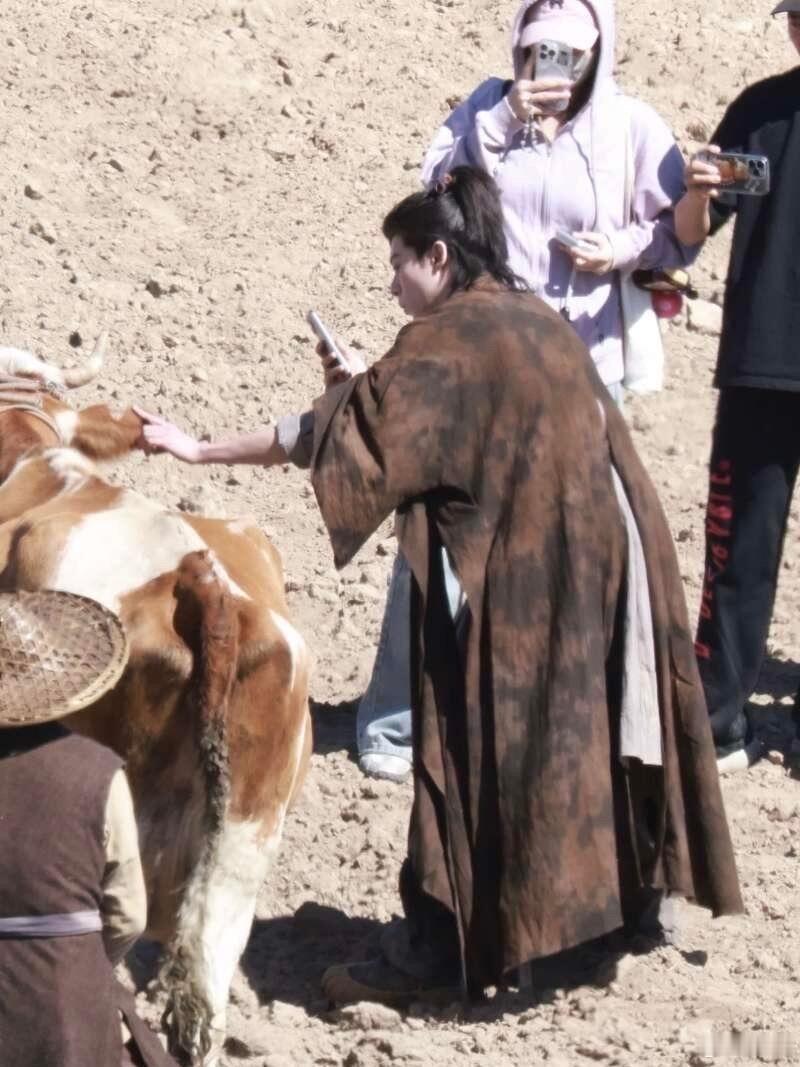 王鹤棣给牛拍照王鹤棣跟牛合照 ​​​是在《咸鱼飞升》片场开开心心的王鹤棣~休息间