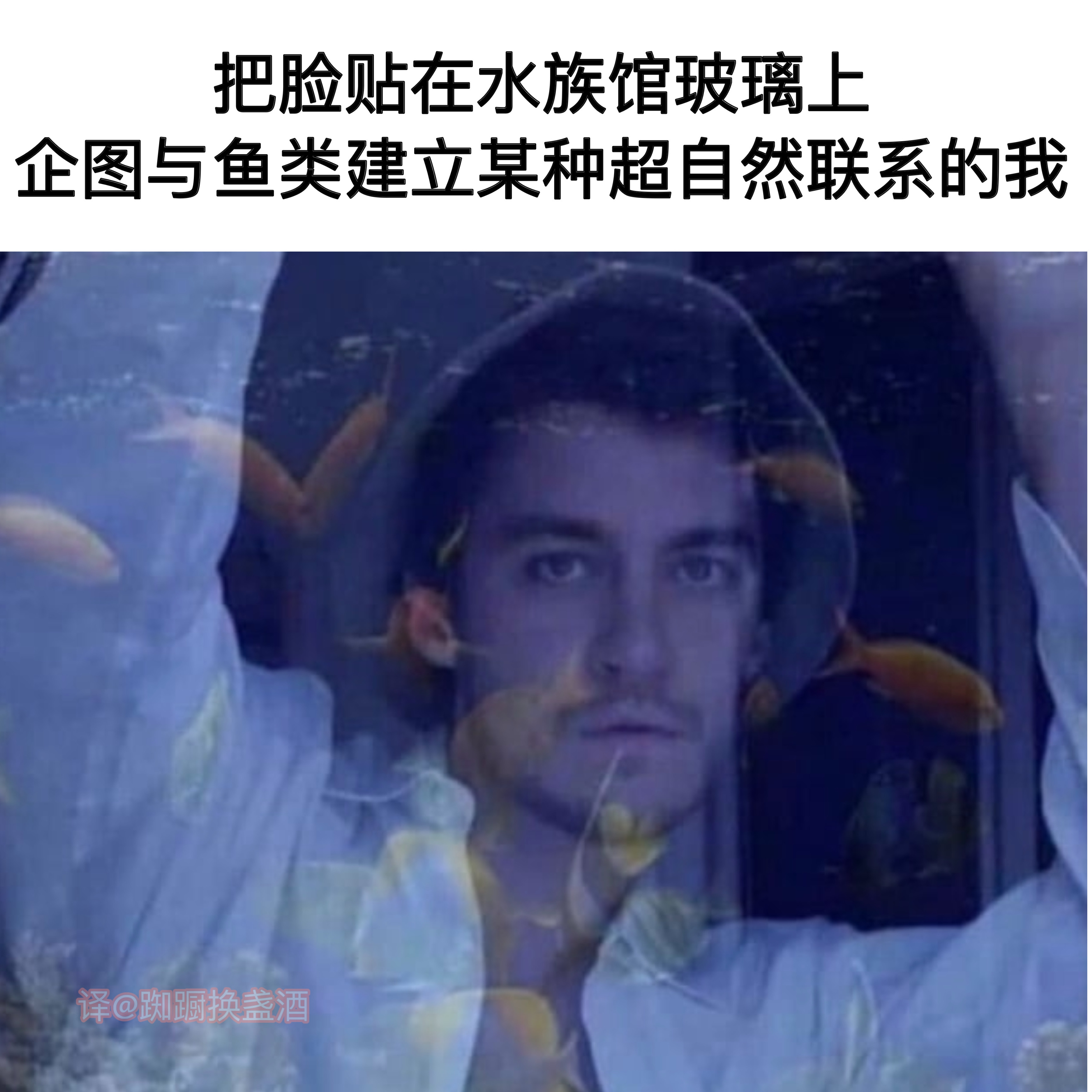 向左向左向左#meme# ​​​