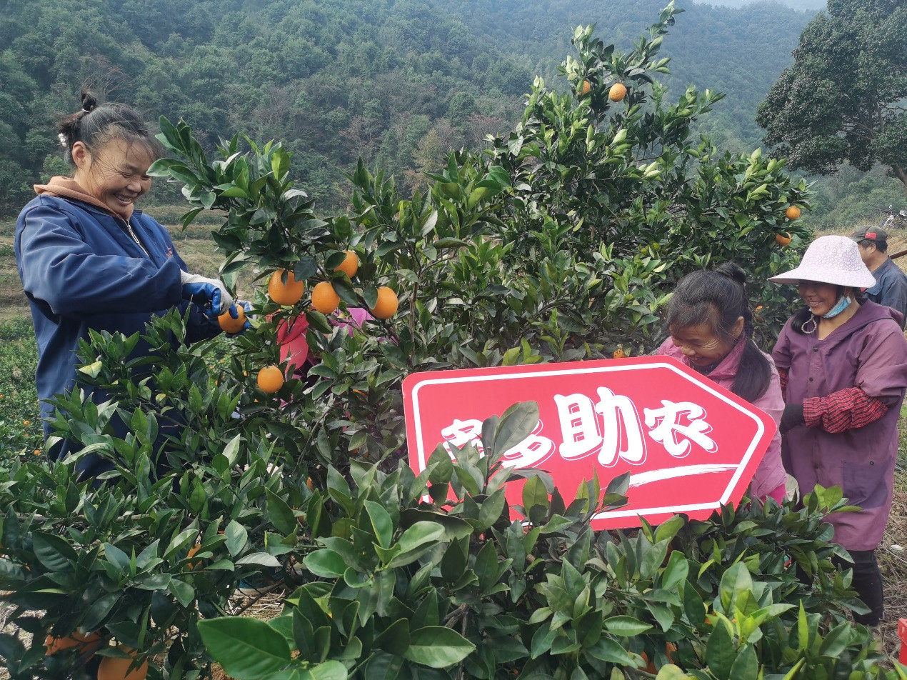 #拼多多开了场很土的发布会#拼多多作为中国最大的社交电商平台，拥有庞大的用户基础