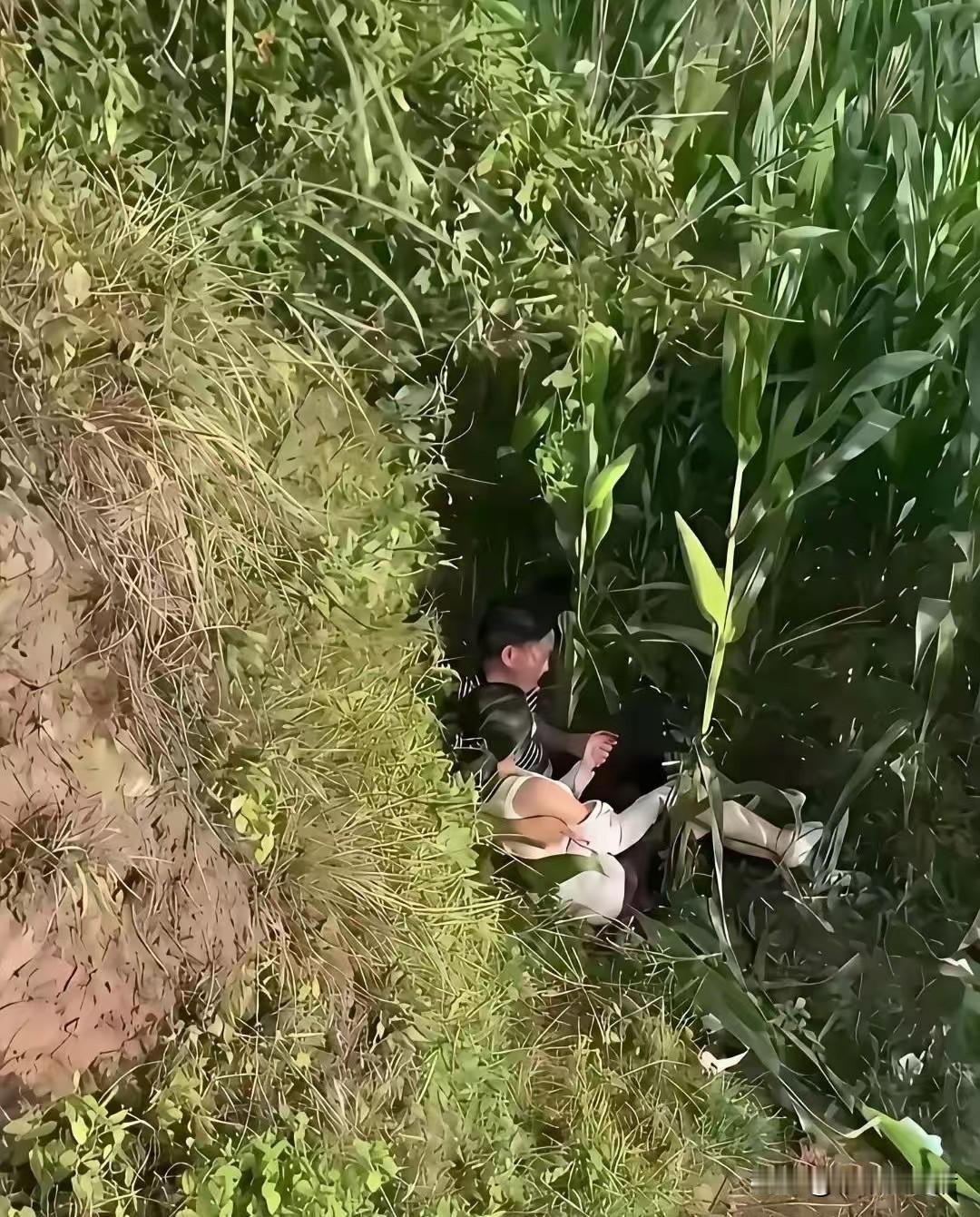 如果你看到这两个人（你都认识），你会怎么办？