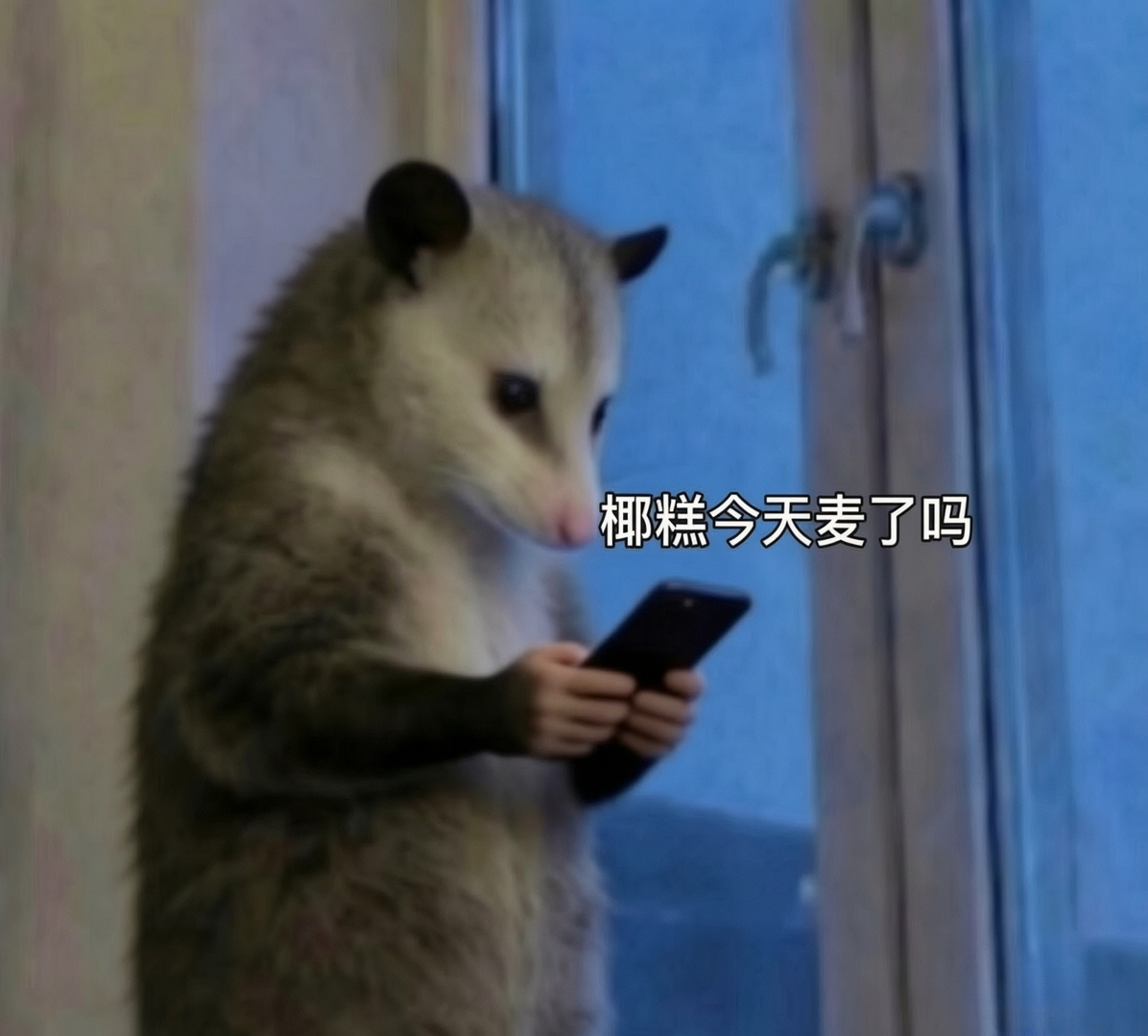 🪜过去就是这样
