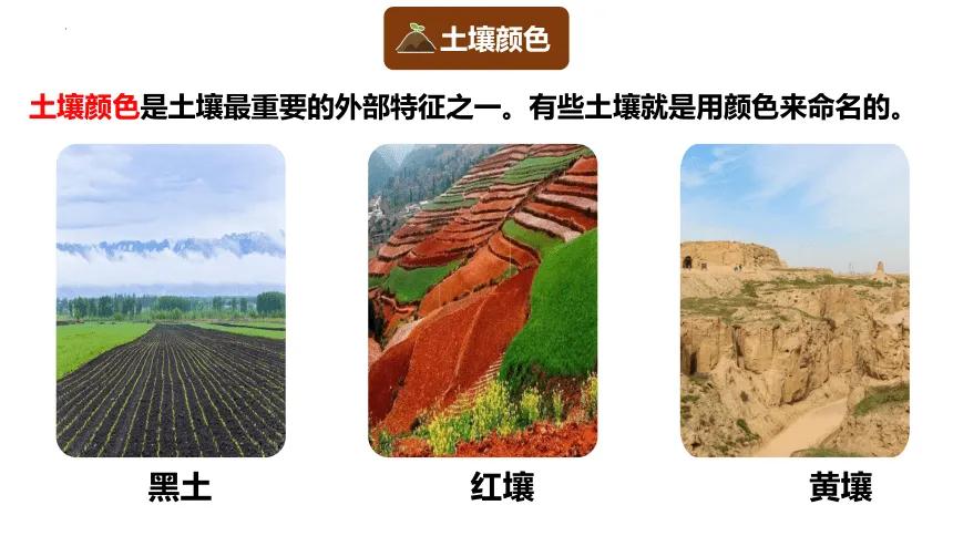 前几天和一位河南妹子聊天，她感慨特别深：
回娘家逛自家菜园，种出来的青菜绿油油、