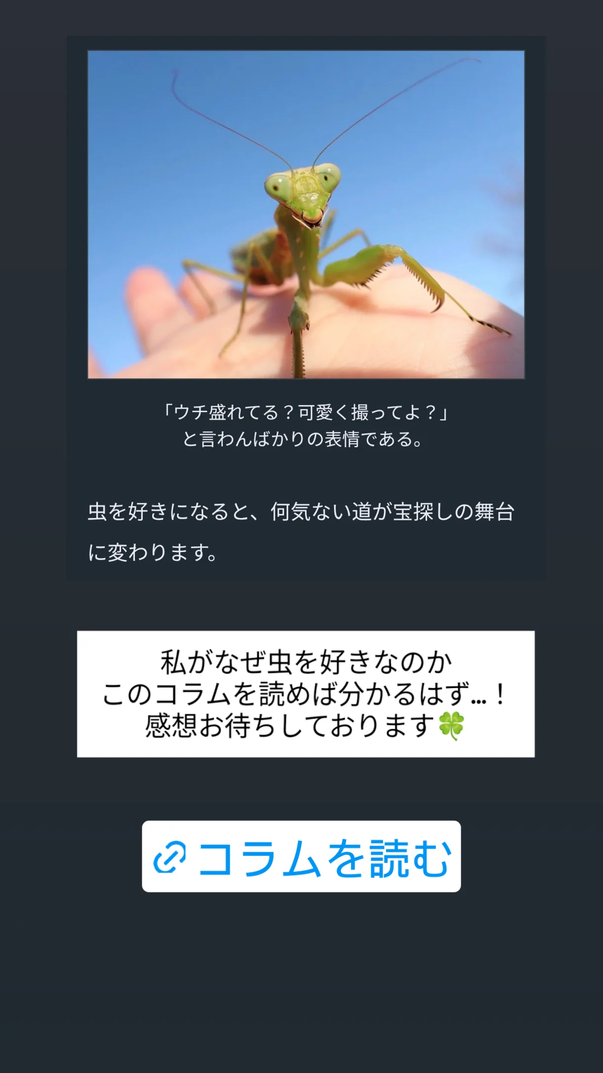 片田陽依（ins 快拍 