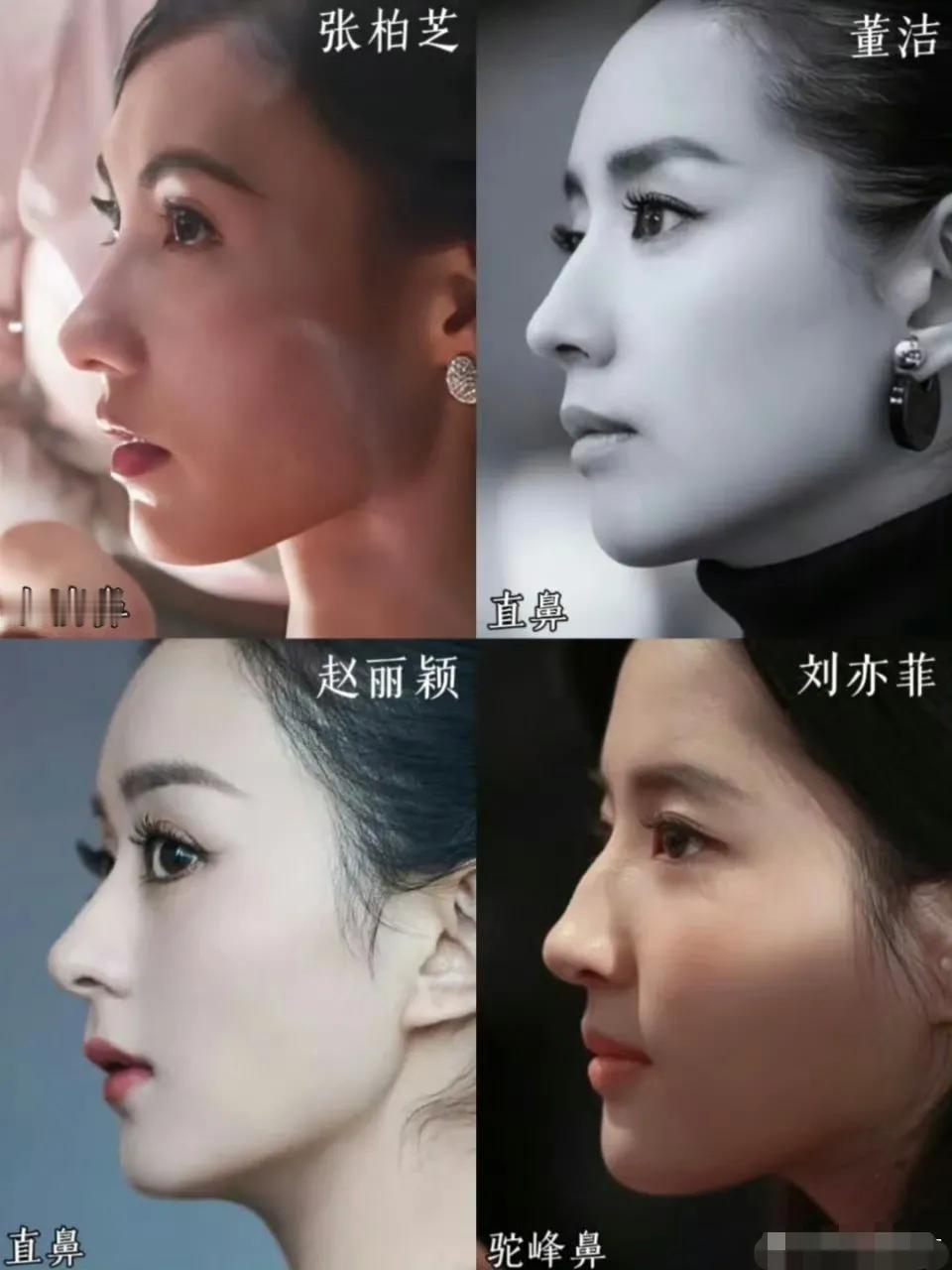 这四个鼻子，太好看了吧！