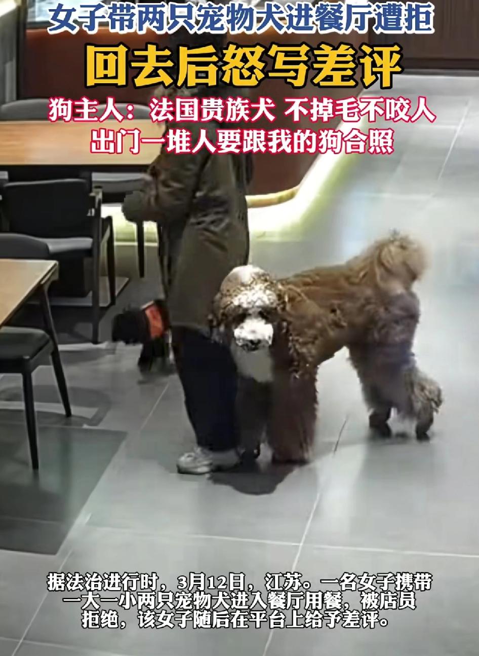 江苏一女子带着一大一小的法国贵宾犬进入餐厅内，被店员拒绝入内，回头就在网上给该餐