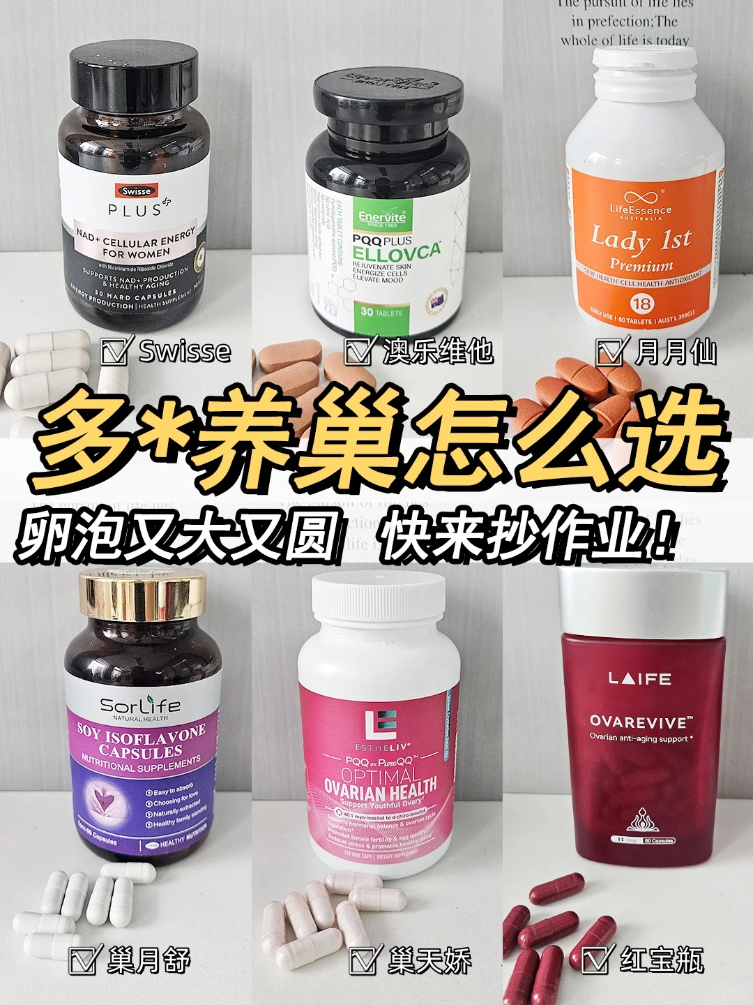 多*养巢怎么选，快来抄作业