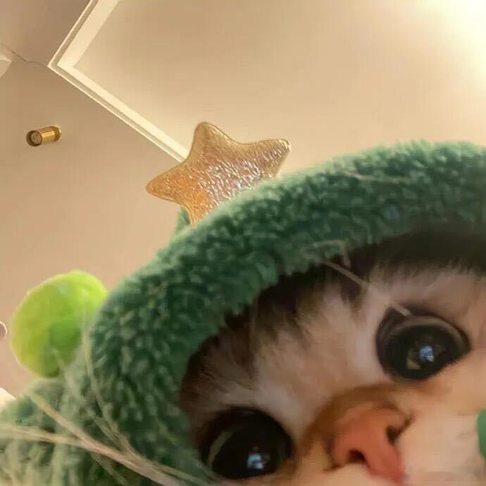 那些凡事唯唯诺诺，不敢反抗的人，不管到哪里都不会过的很幸福，不要害怕得罪任何人。