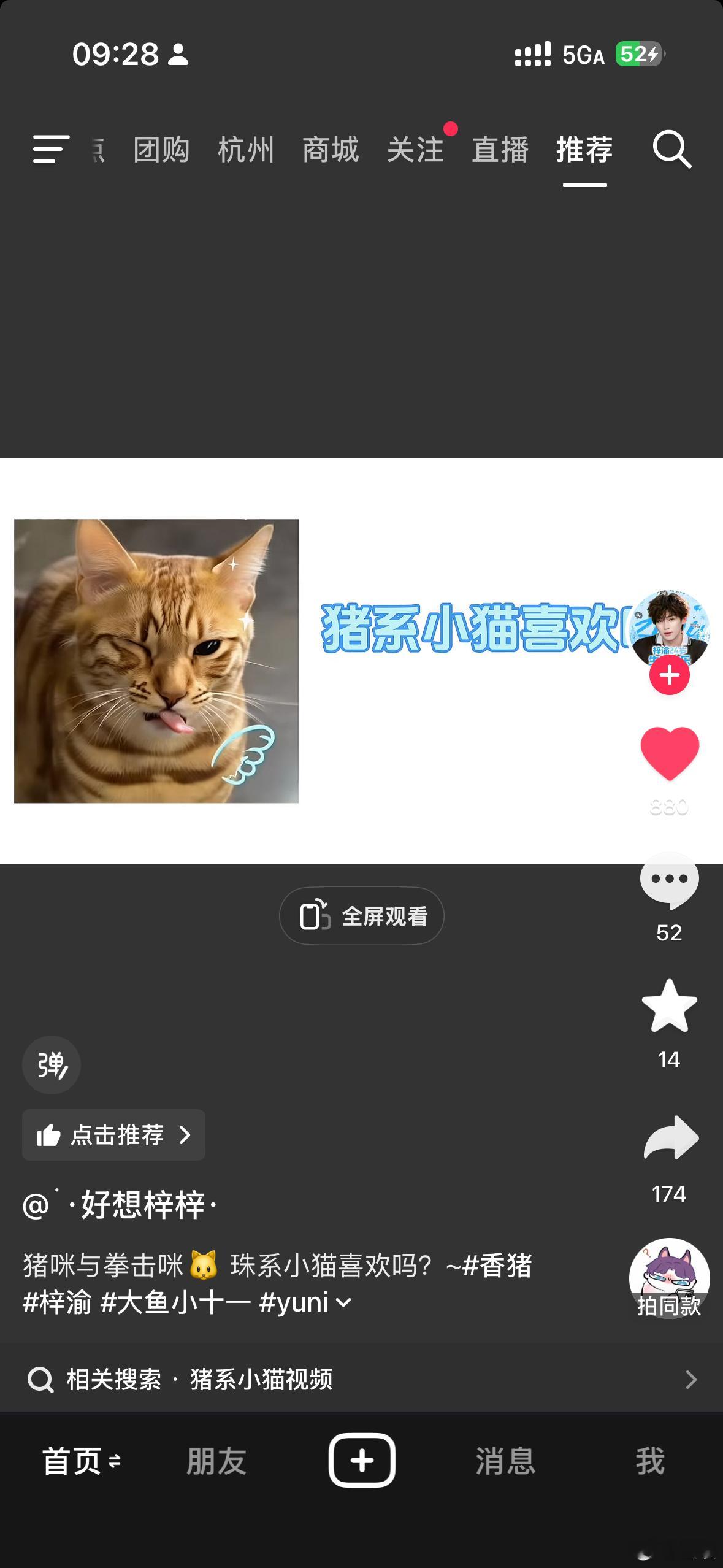 欺负一个猪系小猫？ 