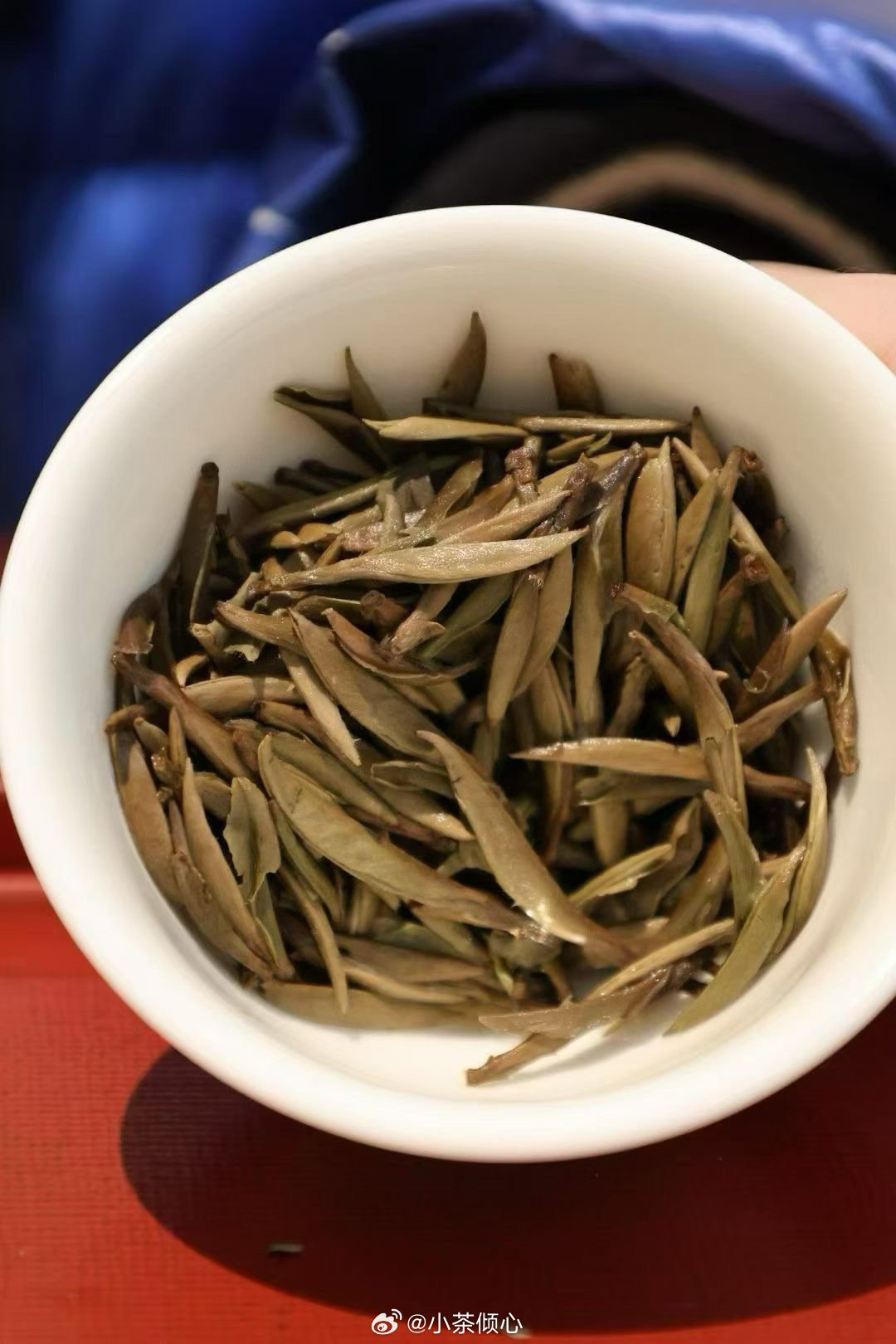 世上从没有凭空降临的好运，所有惊喜都是长久坚持换来的馈赠。珍惜难得韶华，不辜负奋