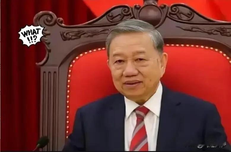 越南认怂了，为了向美国示好，8月14日越南突然出手买了100万桶的美国石油。越来