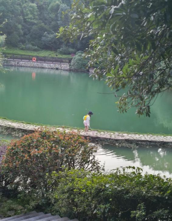 外卖小哥冒雨挪井盖，路人接力暖人心
亲爱的朋友们大家好，我是海林小百科，今天我们