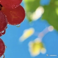 生活手记生活可以忙碌疲惫，但心态一定要简单快乐。人生不必追求繁华，开心自在便是最