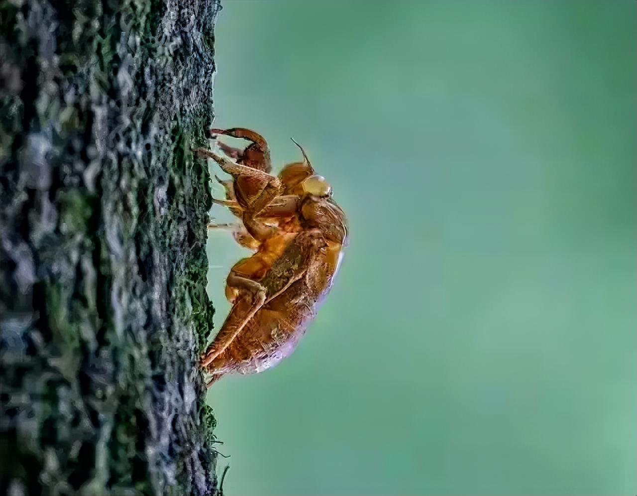 水为财，用好这6个“水”，让你左右逢源。为什么遇水则发？ 	 
因为水本身代表着