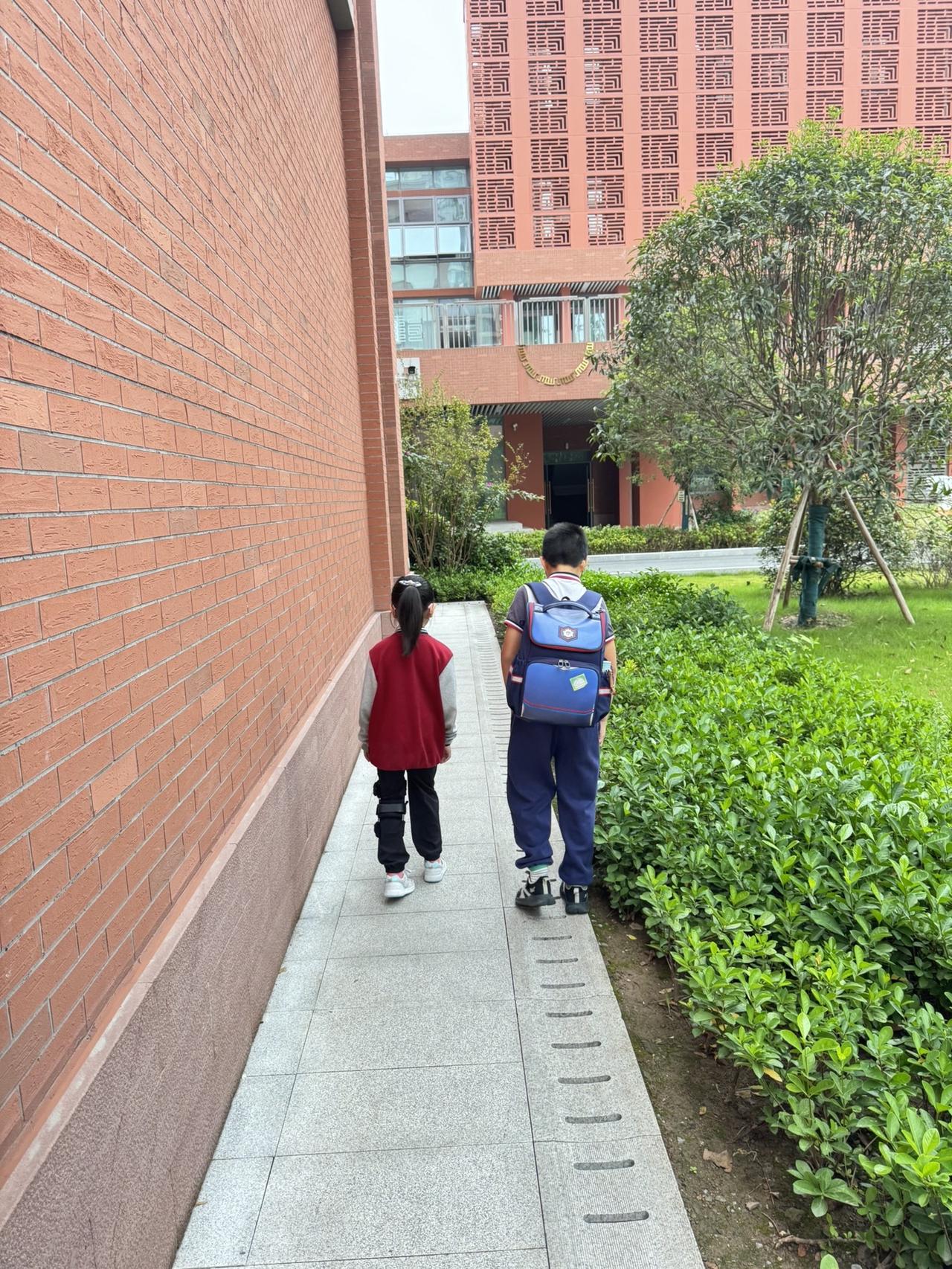 早上好😄
我感觉现在越来越喜欢豆豆的背影了，真好看