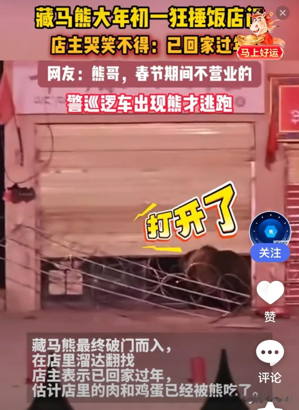 笑不活了！两只熊除夕闯饭店“拜年”，店主：我在甘肃刷视频才知道

过年最离谱的一