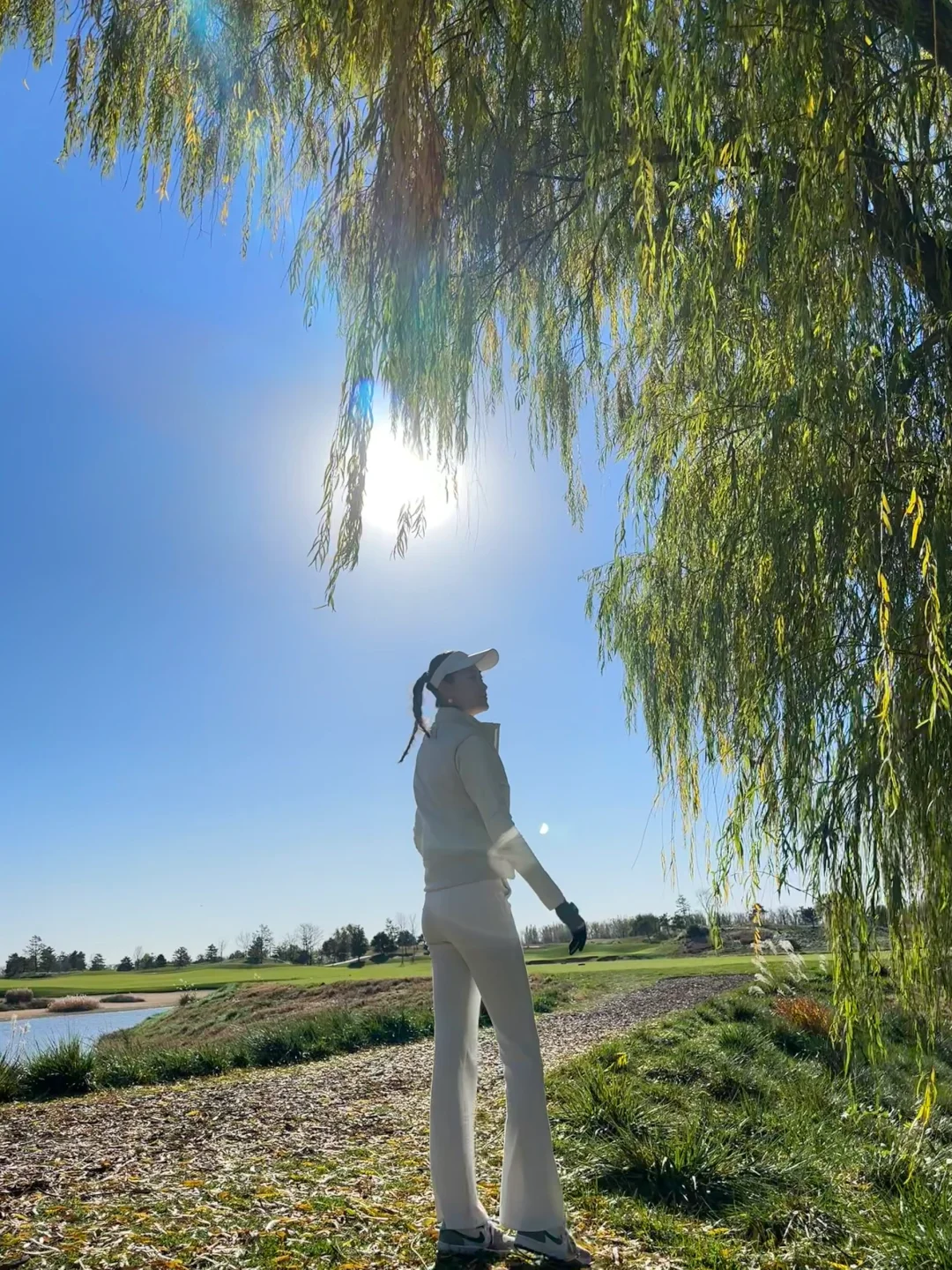 黑骑士明年见啦