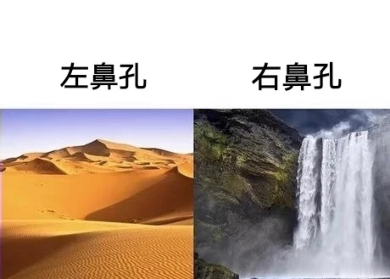 完了，我有点感冒，三九已经喝上了，明天8节课[裂开] ​​​
