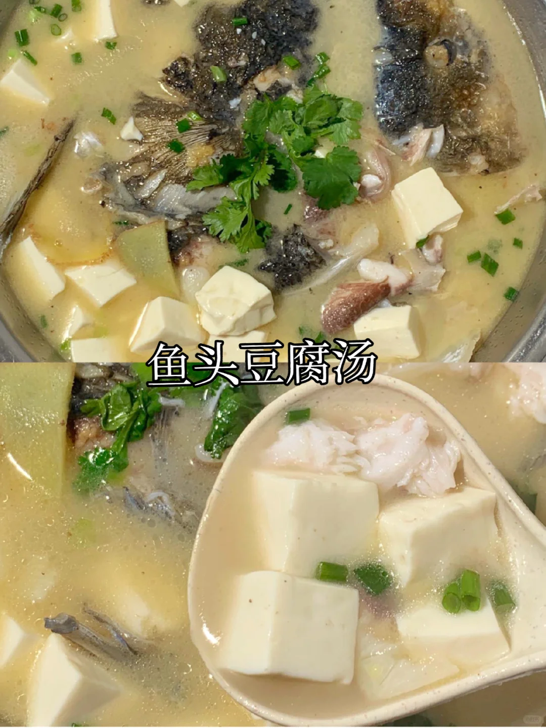天气越来越冷，做个鱼头豆腐汤吧，简单还好喝