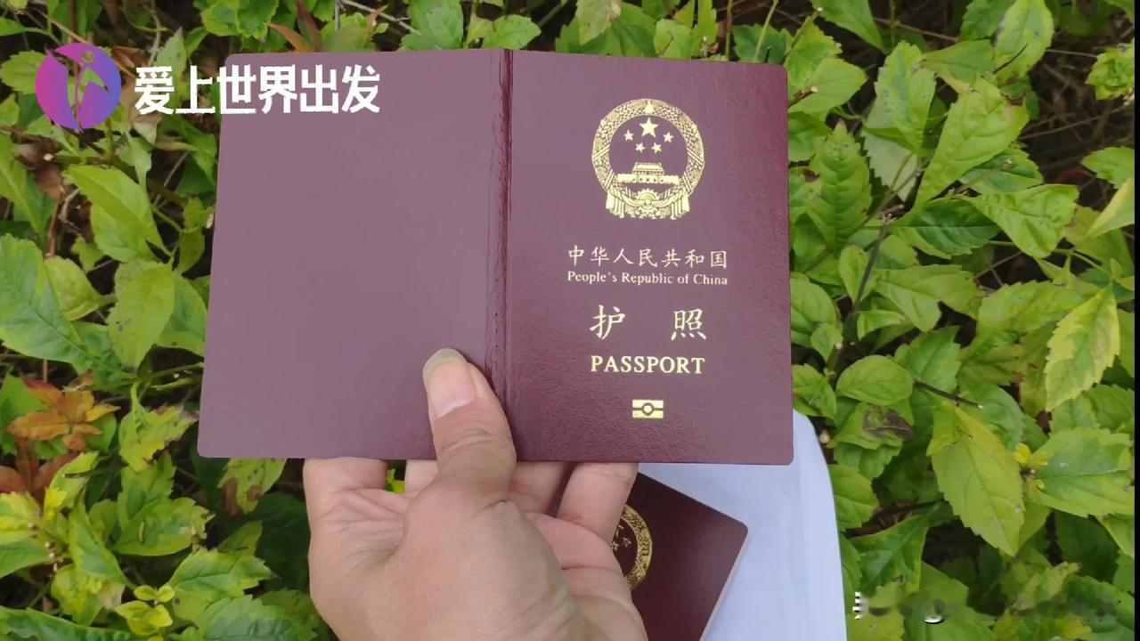 愿所有追逐梦想的人，

都能如愿以偿！

2019我的创作世界