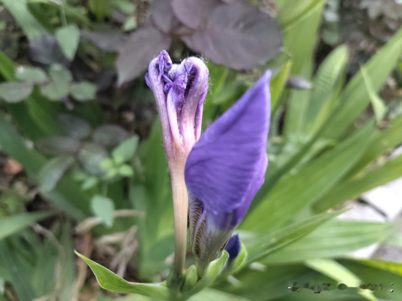 又是崭新的一天
一天好心情
读书
写作
健身
一如既往