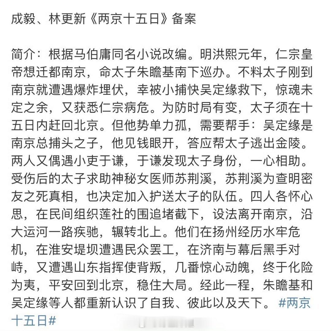 成毅和林更新主演的《两京十五日》备案简介，双男主的搭配，纯看完备案简介，你觉得这