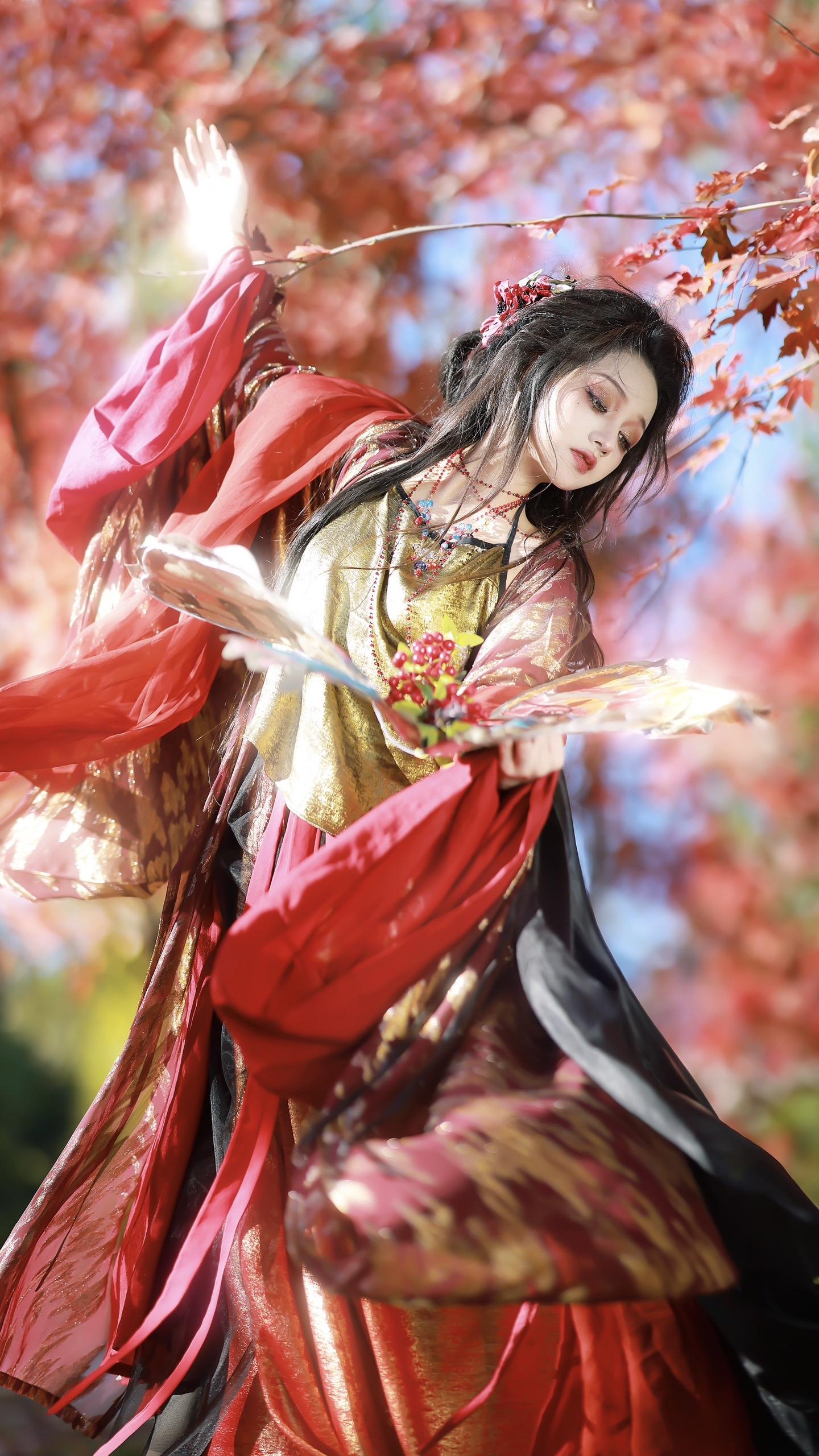 丹枫万叶碧云边🍁。美丽枫叶➕1