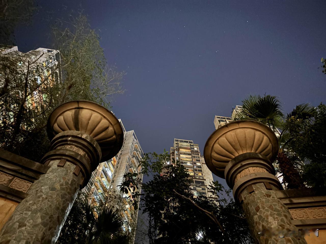 诗酒的味道！想到明代一首诗＂寒梢虽数叶，高节傲霜风。宁肯随团扇，秋来怨箧中。＂有