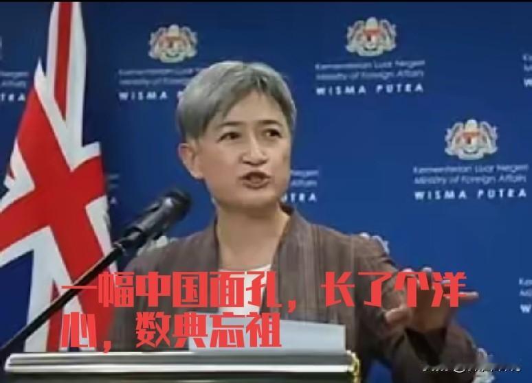 澳大利亚又开始作妖，在东盟外长期间，利用菲律宾挑衅被揍事件对我们发难。澳大利亚外